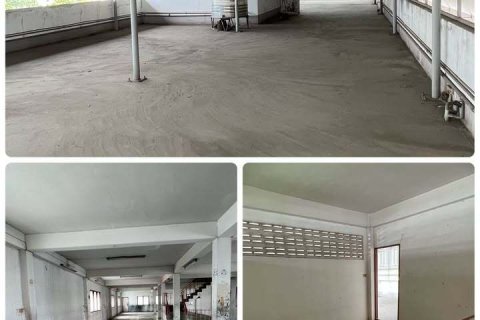 Warehouse in Bang Na, Bangkok, Thailand № 171741 - photo 5