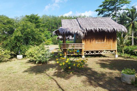 Hôtel à Ko Lanta Yai, Thaïlande № 161231 - photo 12