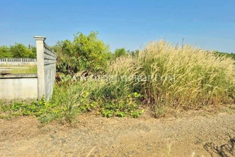 Terrain à Wang Noi, Thaïlande 8000 m2 № 154097 - photo 14