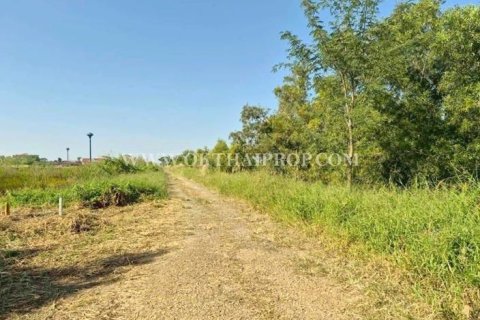 Terrain à Wang Noi, Thaïlande 8000 m2 № 154097 - photo 17