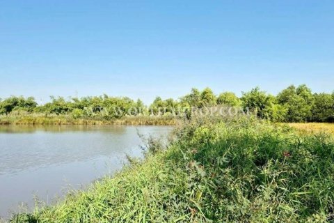 Terrain à Wang Noi, Thaïlande 8000 m2 № 154097 - photo 18