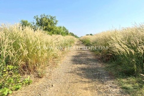 Terrain à Wang Noi, Thaïlande 8000 m2 № 154097 - photo 12