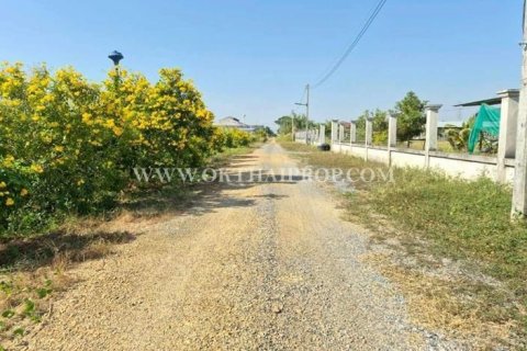 Terrain à Wang Noi, Thaïlande 8000 m2 № 154097 - photo 3