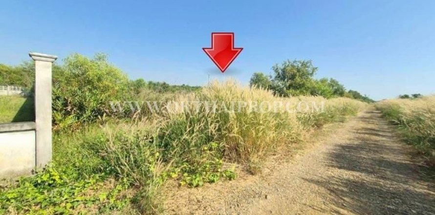 Terrain à Wang Noi, Thaïlande 8000 m2 № 154097