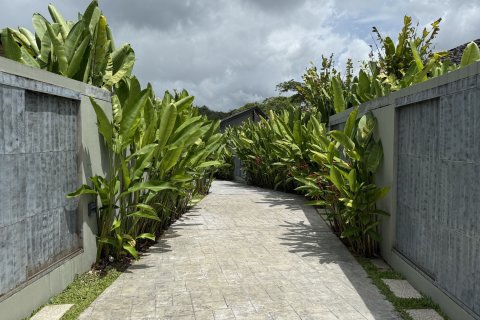 Вилла в Пхукете, Таиланд с 3 спальнями  № 152219 - фото 28