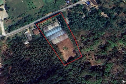 Terrain à Phang Nga, Thaïlande 6400 m2 № 137075 - photo 10