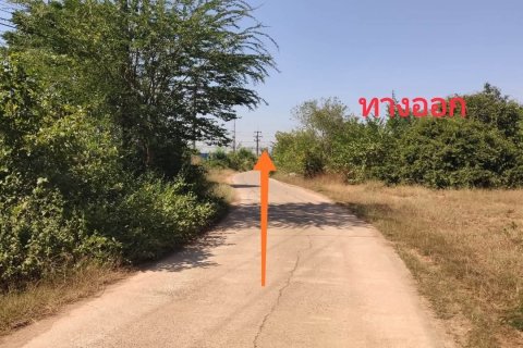 Land in Udon Thani, Thailand 8000 sq.m. № 163064 - photo 4