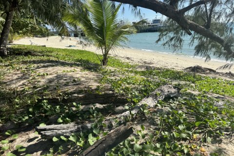 Земельный участок в Самуи, Таиланд 36800м2  № 155838 - фото 11