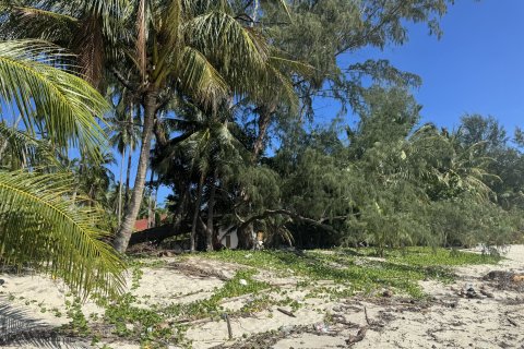 Земельный участок в Самуи, Таиланд 36800м2  № 155838 - фото 2