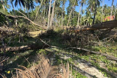 Земельный участок в Самуи, Таиланд 36800м2  № 155838 - фото 10