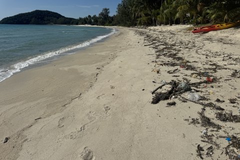 Земельный участок в Самуи, Таиланд 36800м2  № 155838 - фото 6