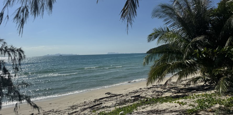 Земельный участок в Самуи, Таиланд 36800м2  № 155838