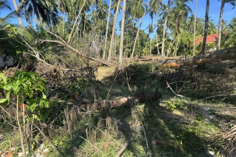 Земельный участок в Самуи, Таиланд 36800м2  № 155838 - фото 9