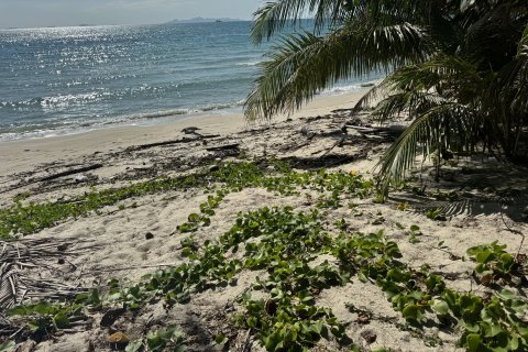 Земельный участок в Самуи, Таиланд 36800м2  № 155838 - фото 8