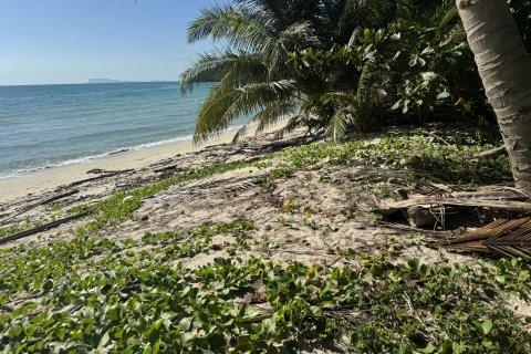 Земельный участок в Самуи, Таиланд 36800м2  № 155838 - фото 12