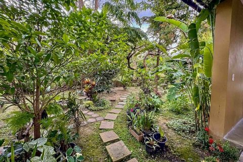 บ้านในเชียงใหม่, ประเทศไทย 3 ห้องนอน № 190874 - รูปถ่าย 28