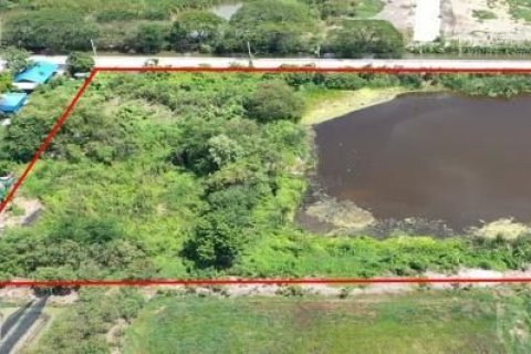 Terrain à Samut Sakhon, Thaïlande 9600 m2 № 161787 - photo 5