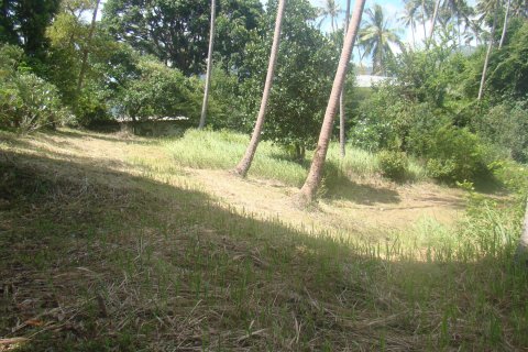 Terrain à Ko Samui, Thaïlande 2200 m2 № 154726 - photo 5