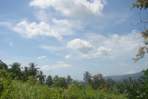 Terrain à Ko Samui, Thaïlande 2200 m2 № 154726 - photo 3