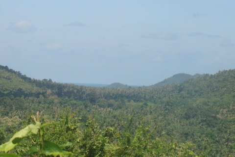 Terrain à Ko Samui, Thaïlande 2200 m2 № 154726 - photo 2