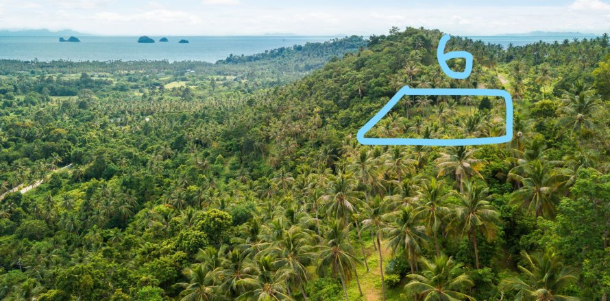 Terrain à Ko Samui, Thaïlande 2200 m2 № 154726
