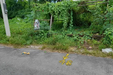 Land in Chatuchak, Bangkok, Thailand 1600 sq.m. № 155096 - photo 2