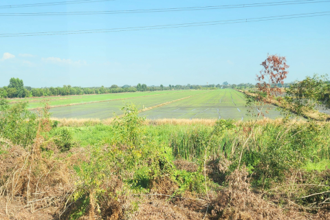 House in Pathum Thani, Thailand 7 bedrooms № 154739 - photo 18