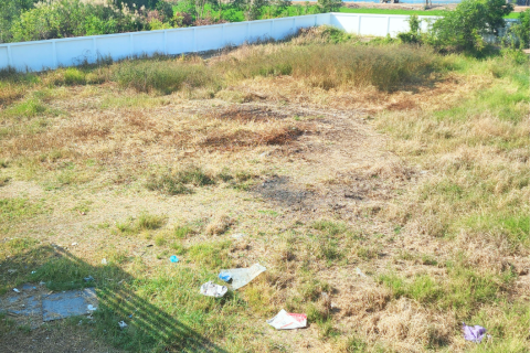 House in Pathum Thani, Thailand 7 bedrooms № 154739 - photo 16