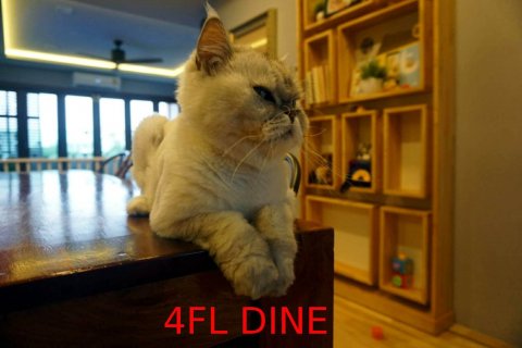 Шопхаус в Пхракханонге, Бангкок, Таиланд  № 140072 - фото 25