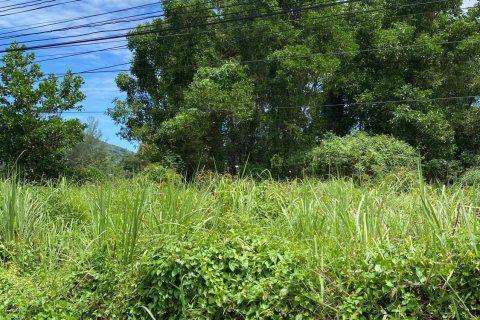 Земельный участок в Пхукете, Таиланд 17600м2  № 151314 - фото 5