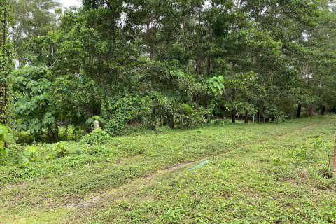 Земельный участок в Пхукете, Таиланд 17600м2  № 151314 - фото 2