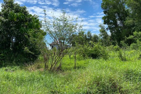 Земельный участок в Пхукете, Таиланд 17600м2  № 151314 - фото 6