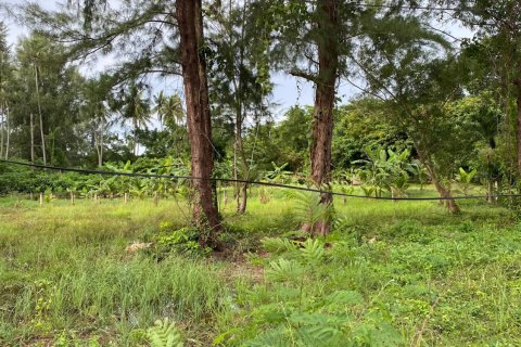 Земельный участок в Пхукете, Таиланд 17600м2  № 151314 - фото 3