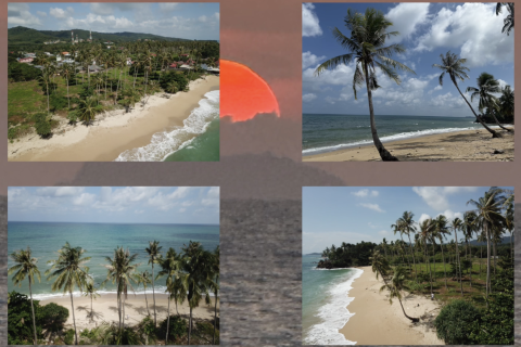 Land in Ko Lanta Yai, Thailand 4900 sq.m. № 171289