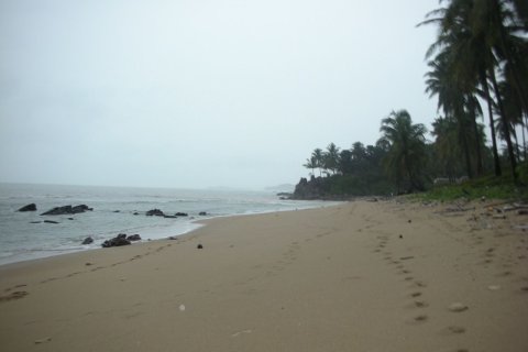 Land in Ko Lanta Yai, Thailand 4900 sq.m. № 171289 - photo 9