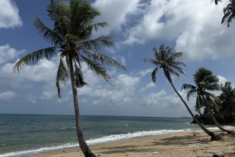 Land in Ko Lanta Yai, Thailand 4900 sq.m. № 171289 - photo 4