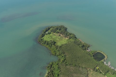 Terrain à Trat, Thaïlande № 180912 - photo 4