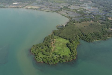 Terrain à Trat, Thaïlande № 180912 - photo 5