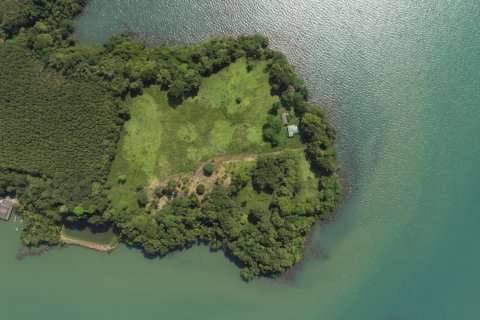 Terrain à Trat, Thaïlande № 180912 - photo 3