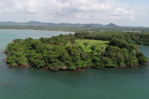 Terrain à Trat, Thaïlande № 180912 - photo 2