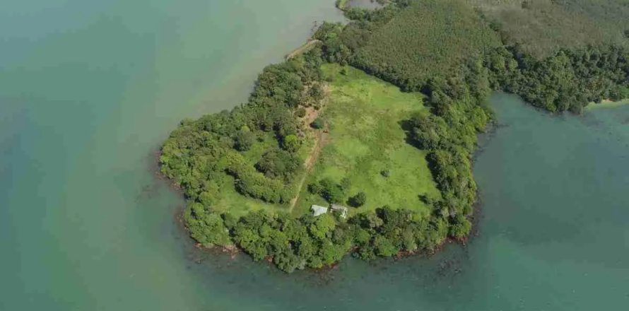 Terrain à Trat, Thaïlande № 180912