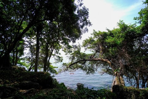 Terrain à Trat, Thaïlande № 180912 - photo 6