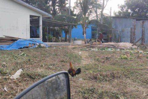 Terrain à Phuket, Thaïlande 491.6 m2 № 148320 - photo 4