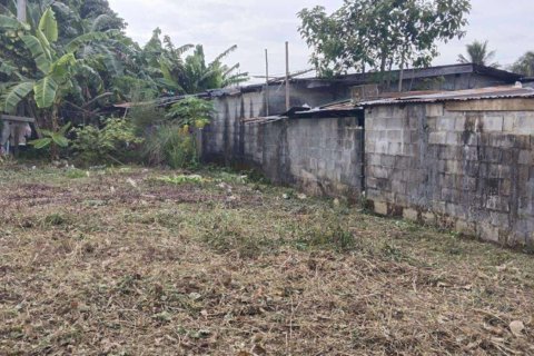 Terrain à Phuket, Thaïlande 491.6 m2 № 148320 - photo 3