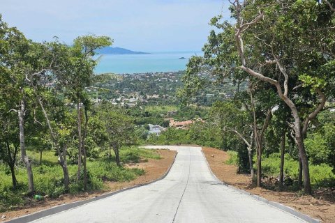 Land in Ko Samui, Thailand 5128 sq.m. № 147084 - photo 8