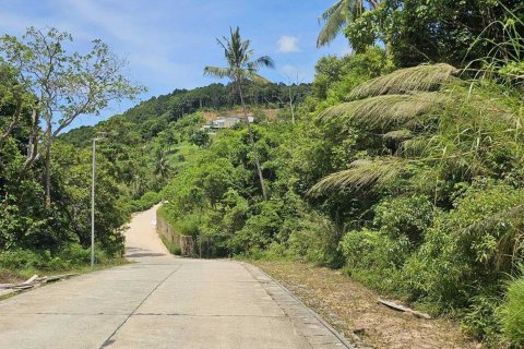 Land in Ko Samui, Thailand 5128 sq.m. № 147084 - photo 6