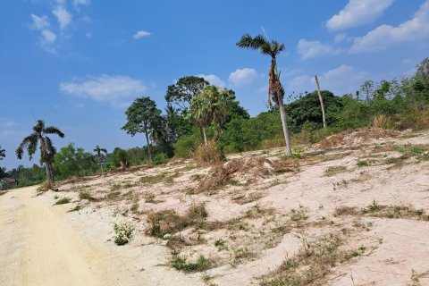 Terrain à Pattaya, Thaïlande 7000 m2 № 154704 - photo 3