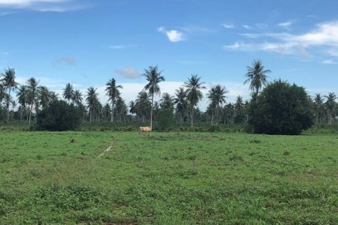 Terreno 15800 m2 en Pattaya, Tailandia № 223127