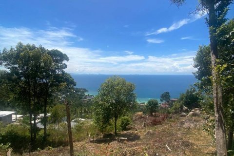 Земельный участок в Сураттхани, Таиланд  № 135243 - фото 2