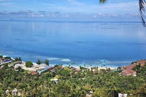 Земельный участок в Сураттхани, Таиланд  № 135243 - фото 1